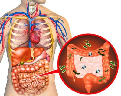 Độc tố cơ thể hiểu biết đúng